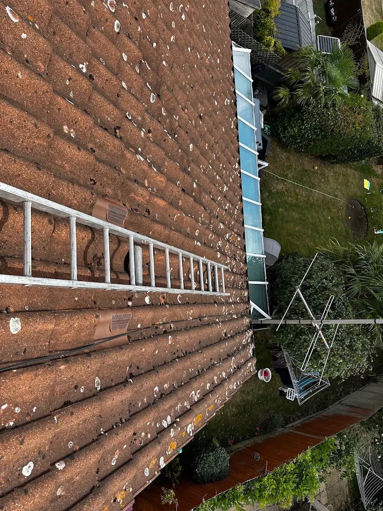 Ladder resting on a large concrete pantile roof above a garden